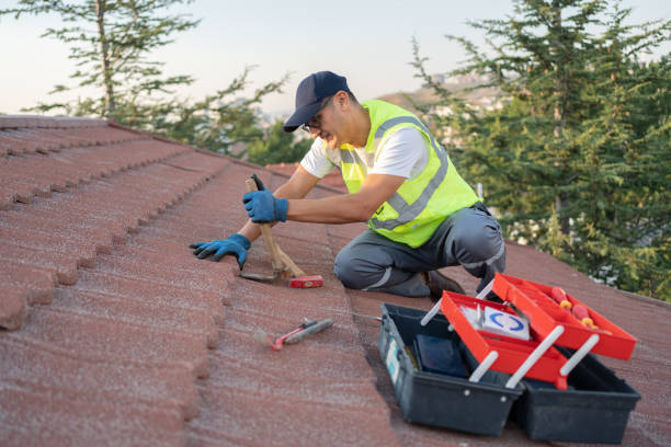 Best Roof Maintenance Services  in East Bangor, PA