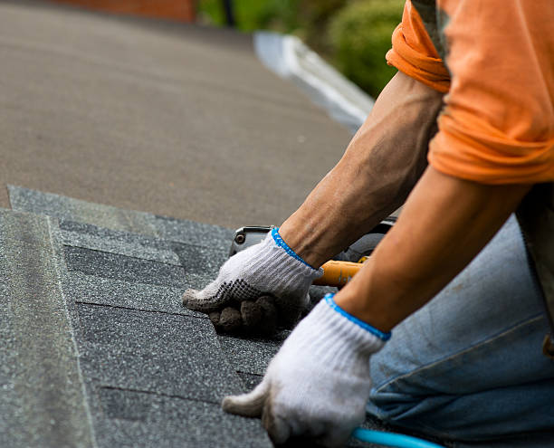Best Flat Roof Repair Services  in East Bangor, PA