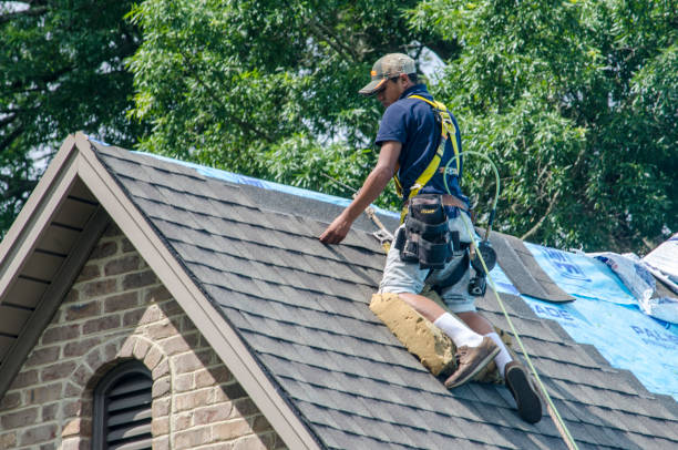 Best Roof Waterproofing Services  in East Bangor, PA